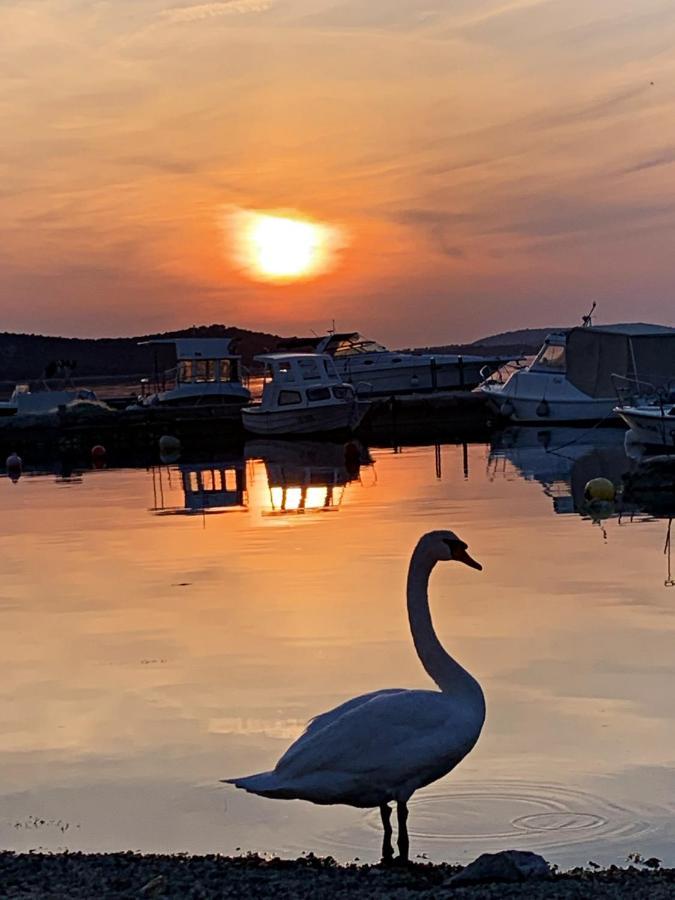 Apartments Villa Ra Zaboric Dış mekan fotoğraf