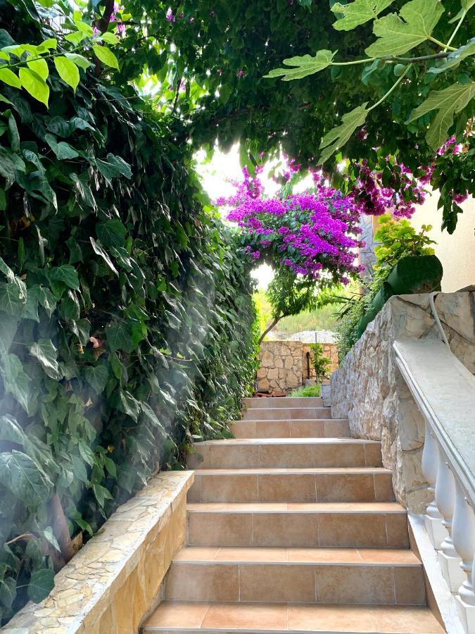 Apartments Villa Ra Zaboric Dış mekan fotoğraf