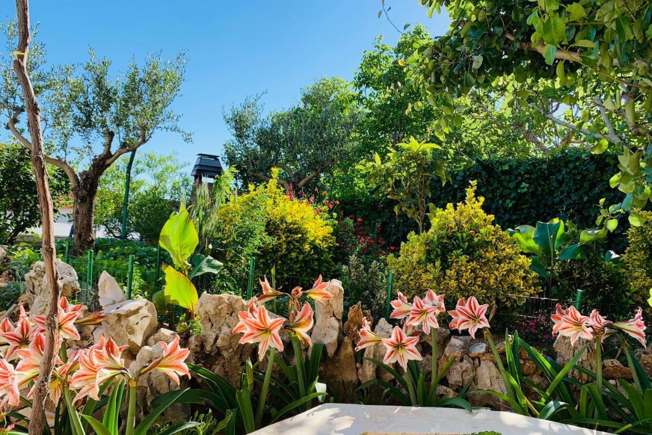 Apartments Villa Ra Zaboric Dış mekan fotoğraf